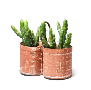 2 Way Painted Iron Bottle Carrier