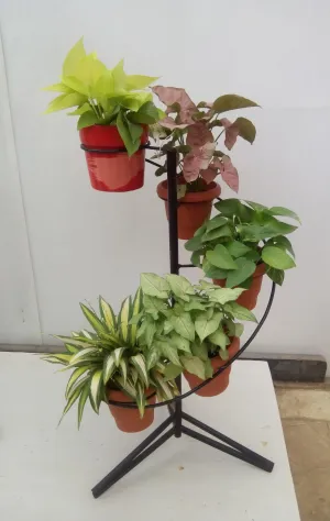 5 Pot Spiral (Ring) Pot Stand