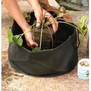 Aquascape Aquatic Lily Pot 14in Round x 7in Deep (2 pack)