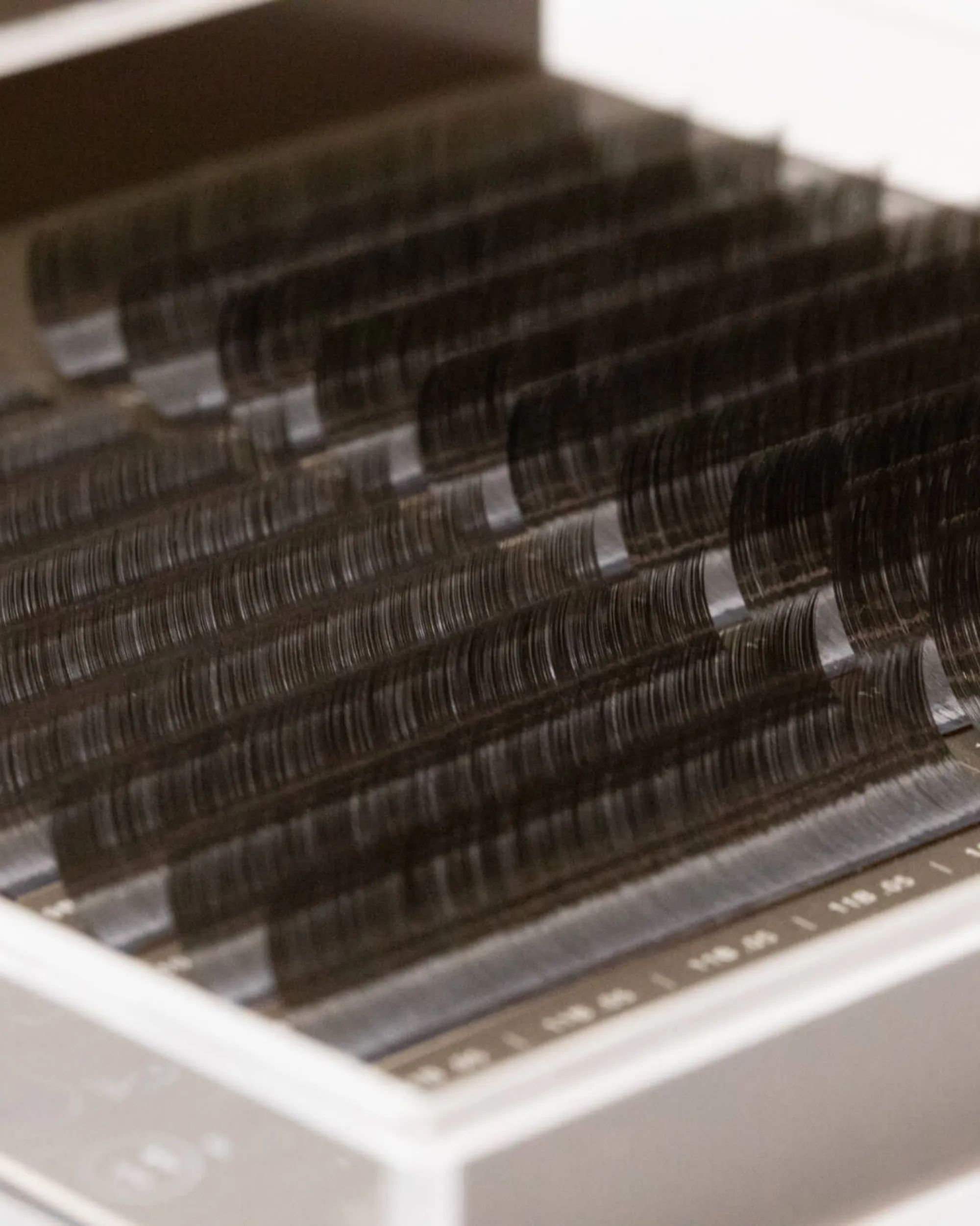 B-Curl Brunette Lashes (Mixed Trays)