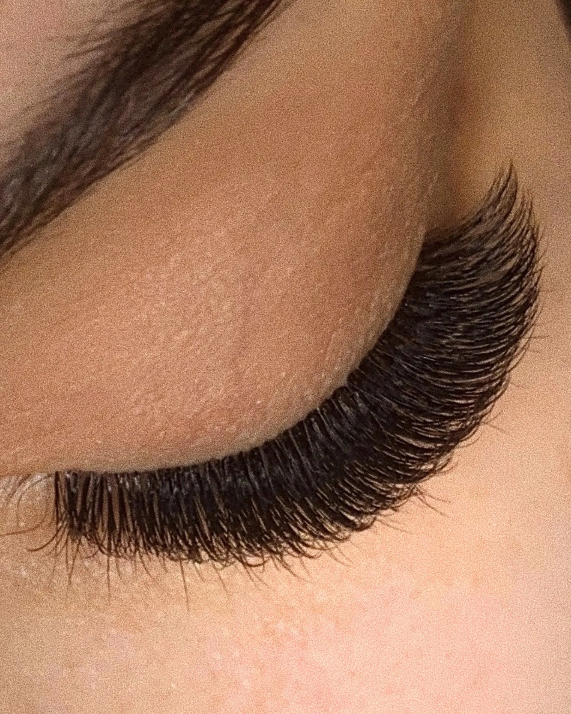 B-Curl Plush Lashes (Multi-Length Trays)