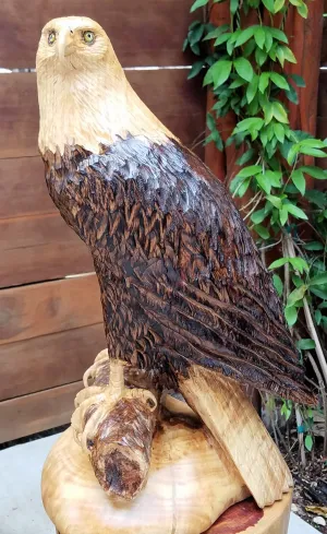 Bald Eagle Perched