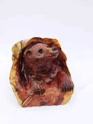 Bear in Log
