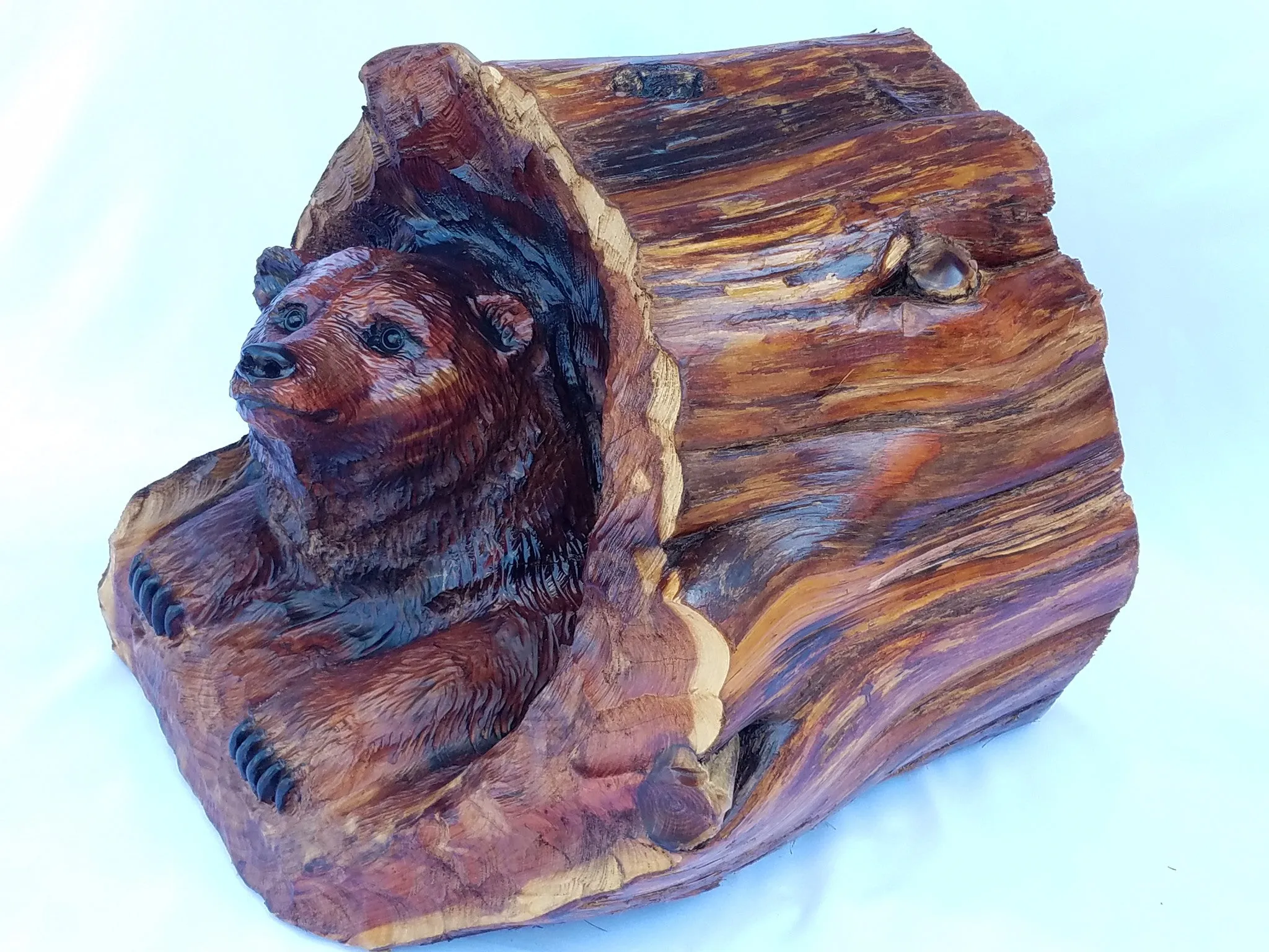 Bear in Log