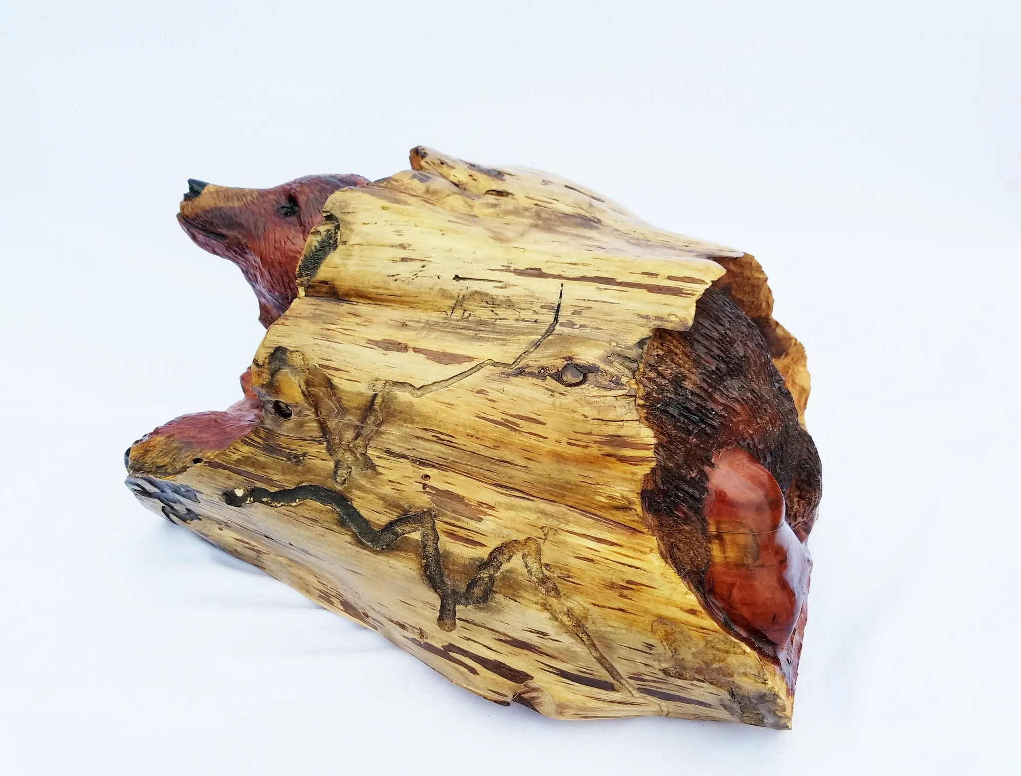 Bear in Log