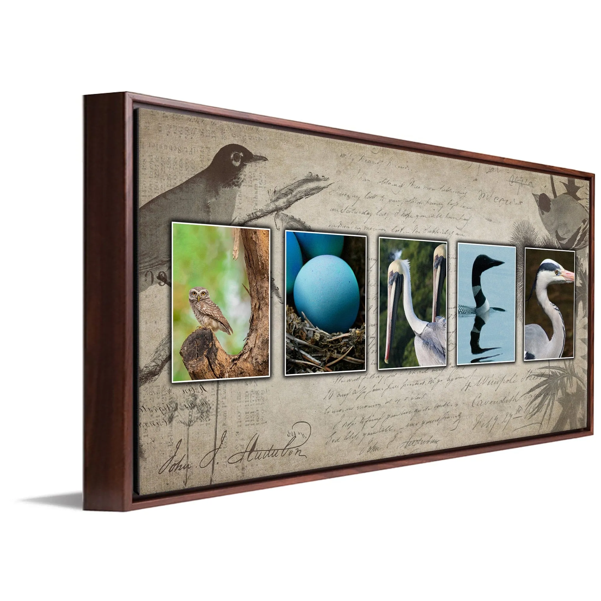 Bird Watching Name Art