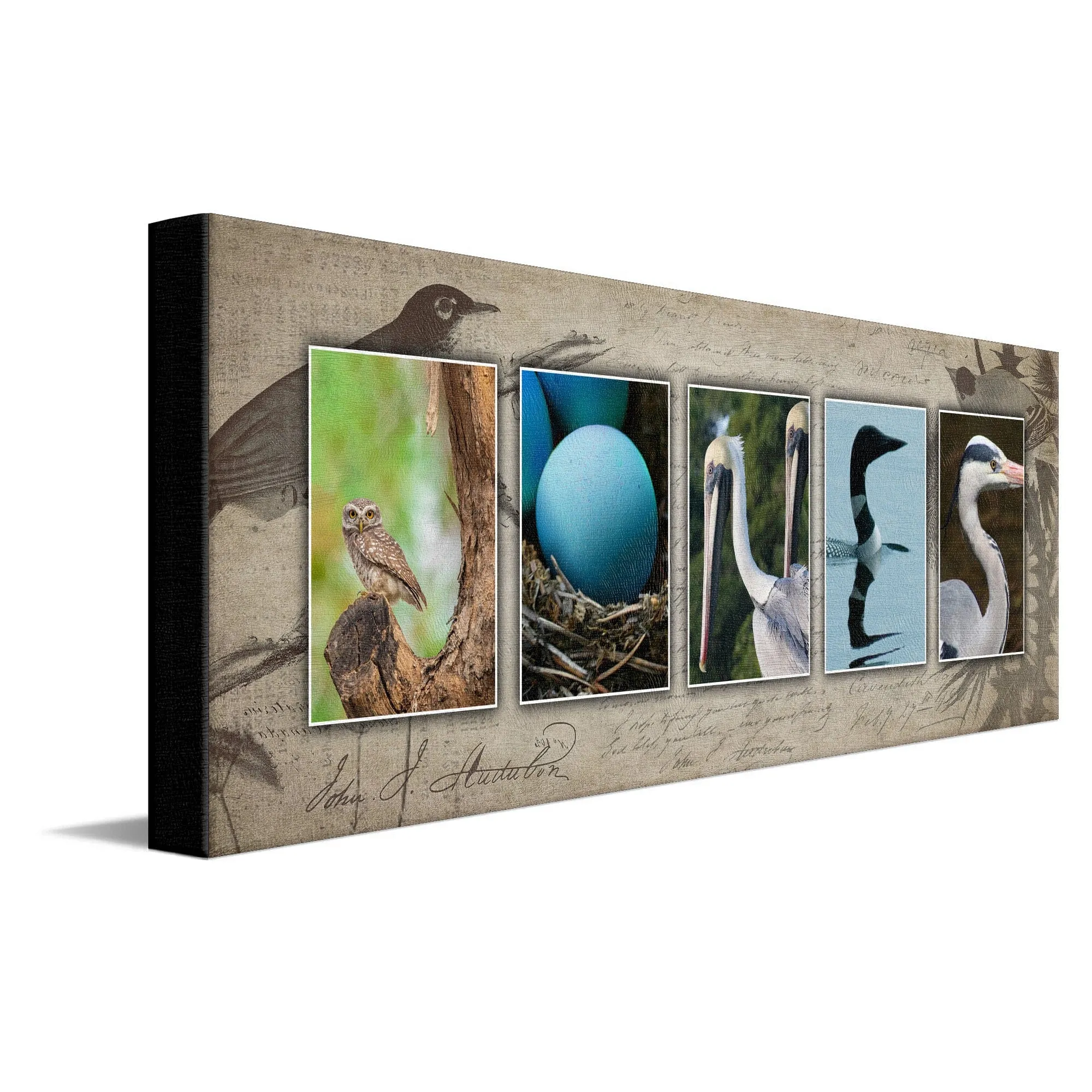 Bird Watching Name Art