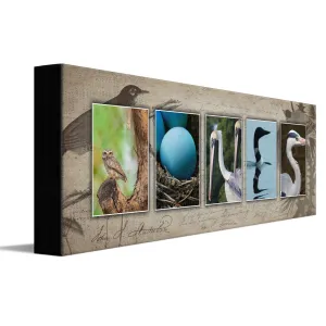 Bird Watching Name Art