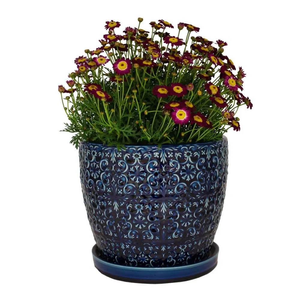 Blue Majesty Mediterranean Bell Ceramic Planter Pot - 10 inch