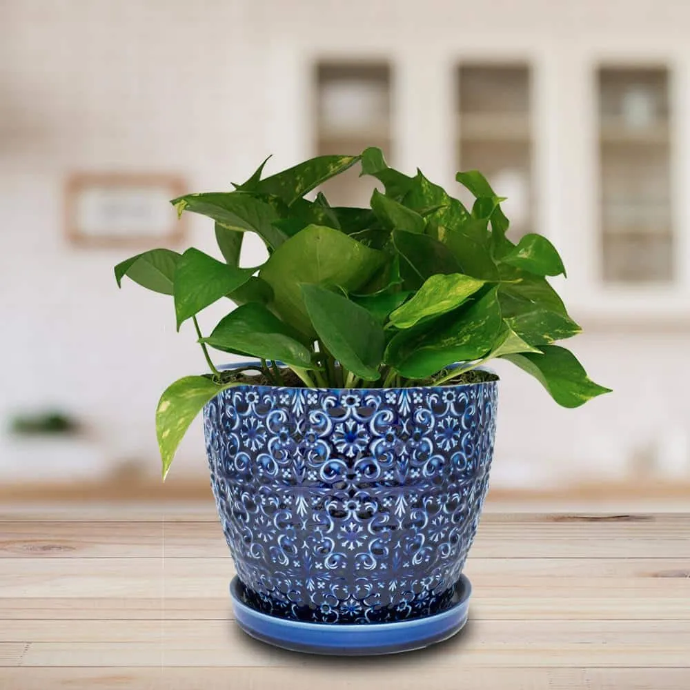 Blue Majesty Mediterranean Bell Ceramic Planter Pot - 10 inch