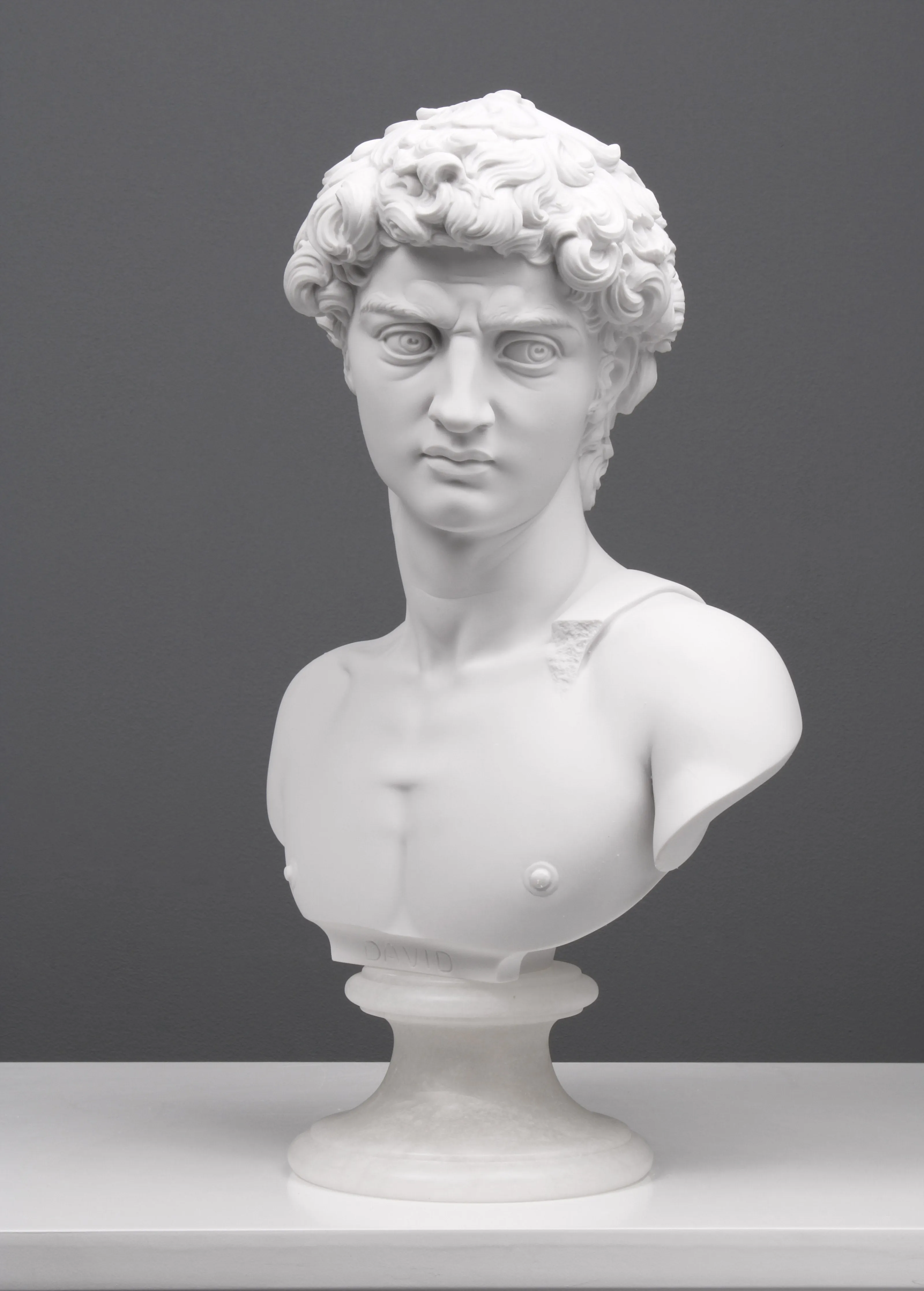 Bust of Michelangelo's David Statue