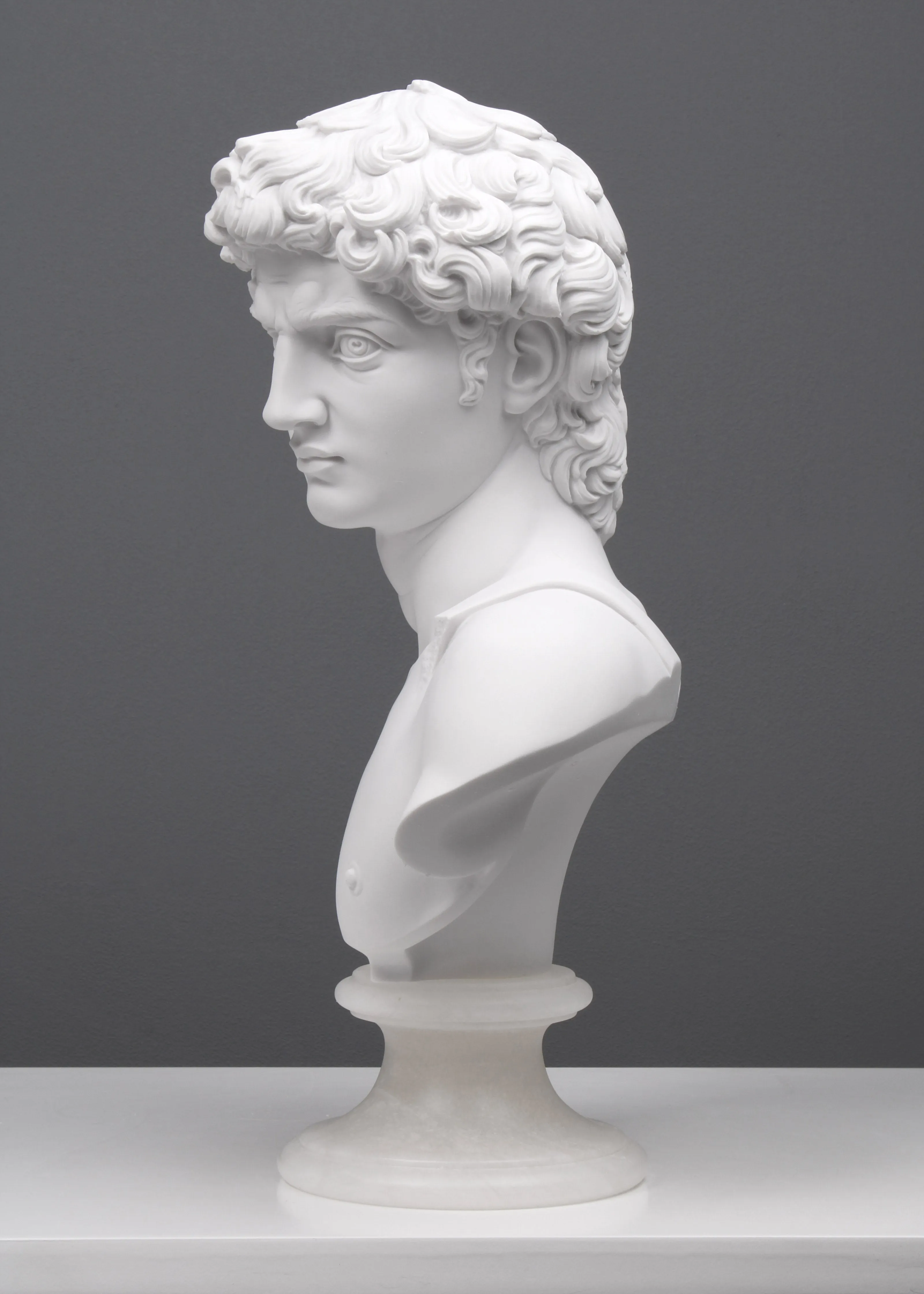 Bust of Michelangelo's David Statue