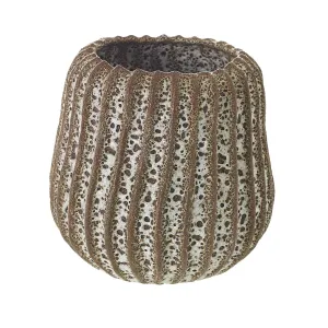 Cayman Pot