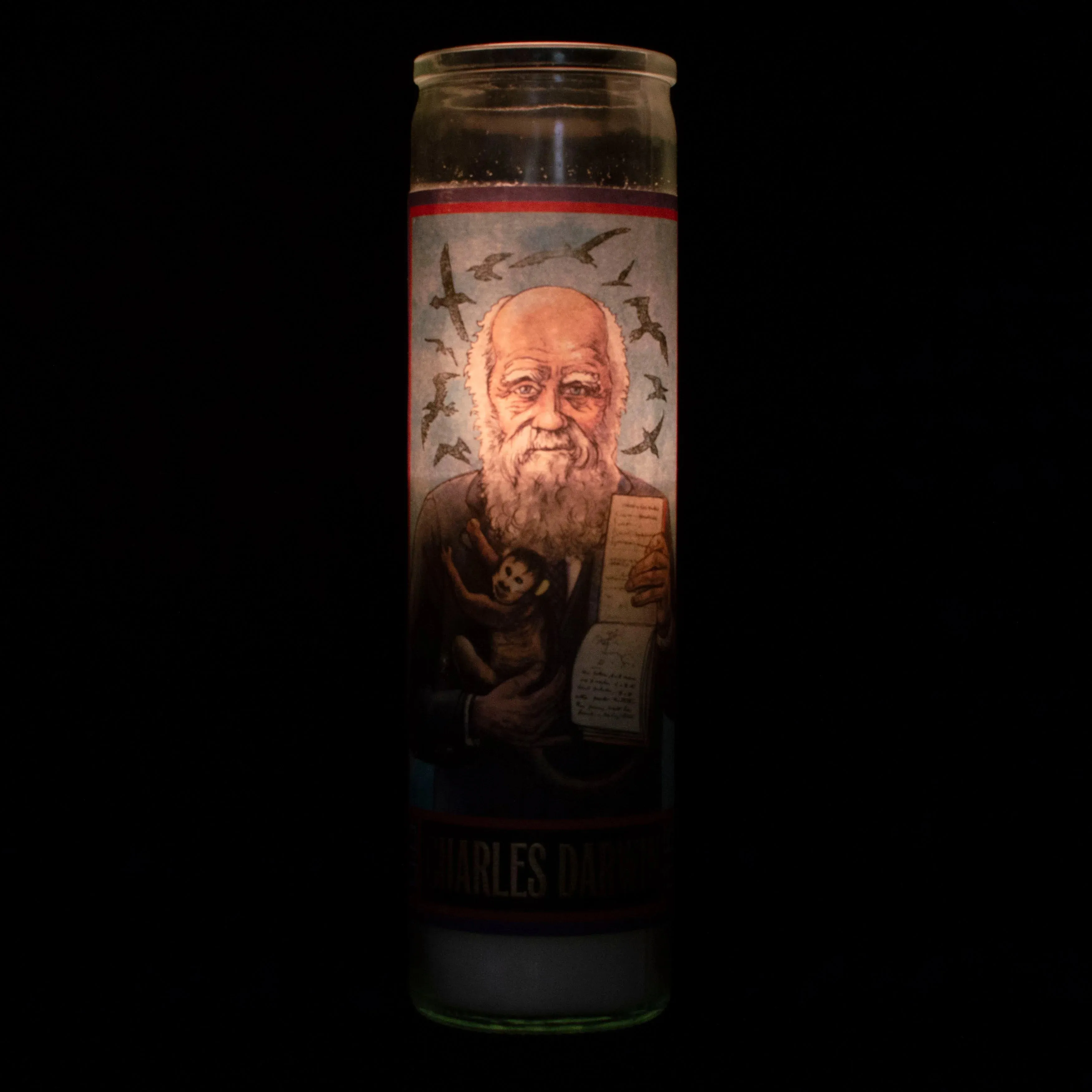 Charles Darwin Saint Candle