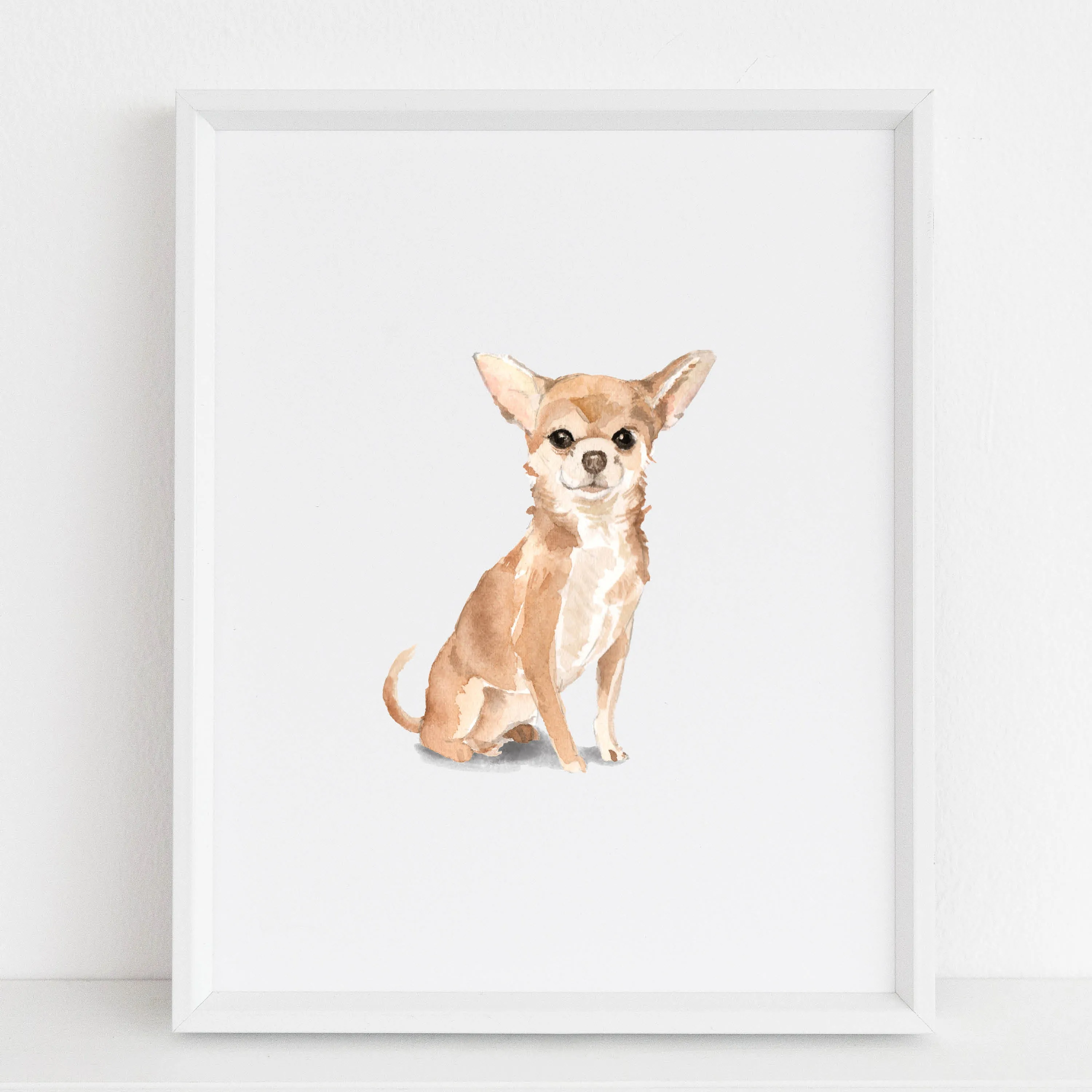 Chihuahua