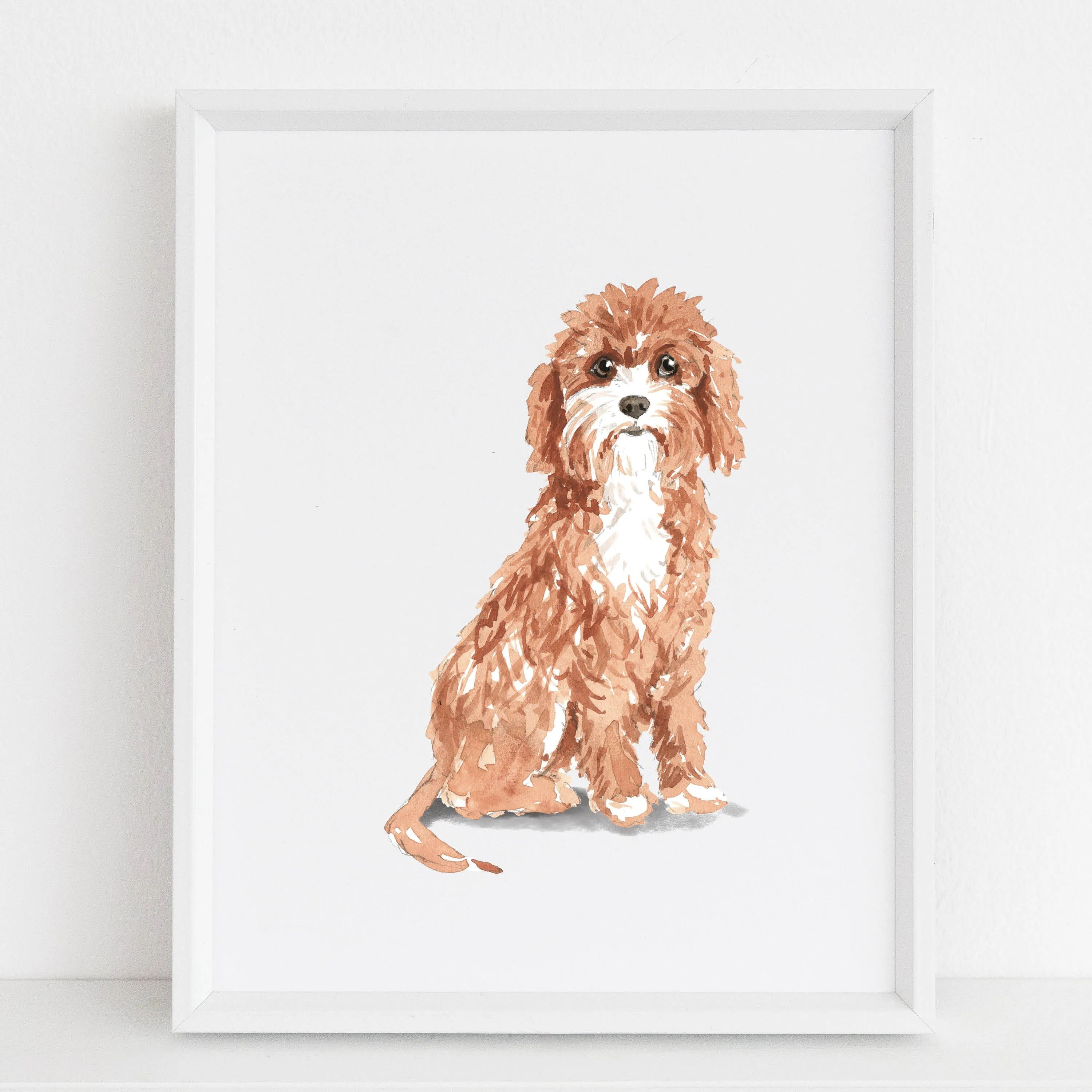 Cockapoo