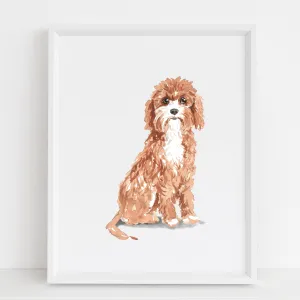 Cockapoo