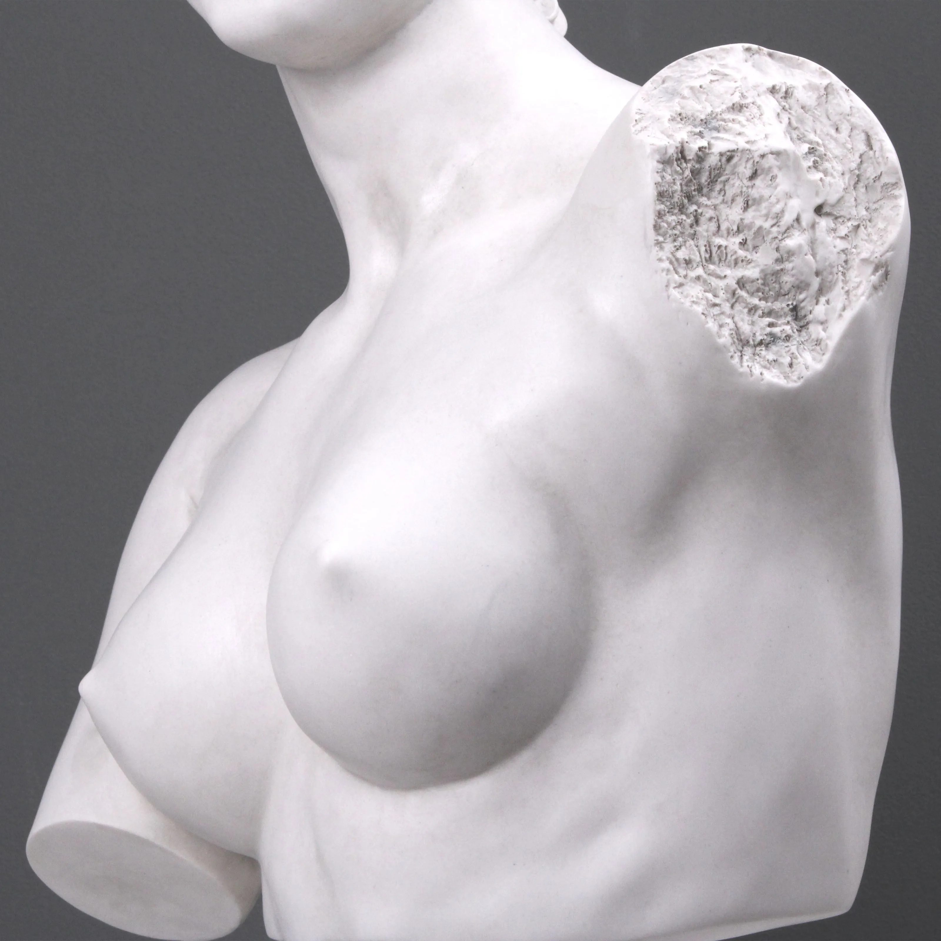 Contemporary Aphrodite Bust Sculpture