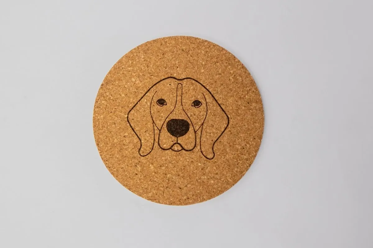 Cork Coasters | Eco-friendly |  Dual color | Water Resistant (set of 2)