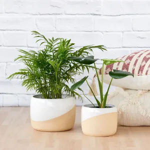 Daxi Planter - Cream
