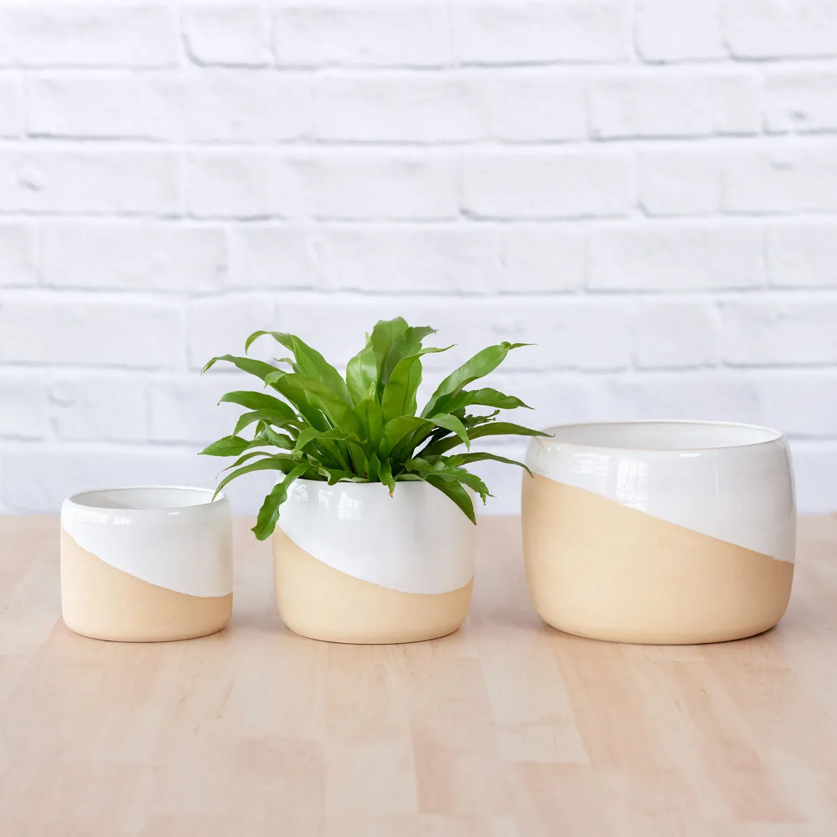 Daxi Planter - Cream