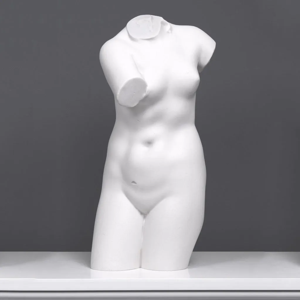 Female Torso Statue (Aphrodite)
