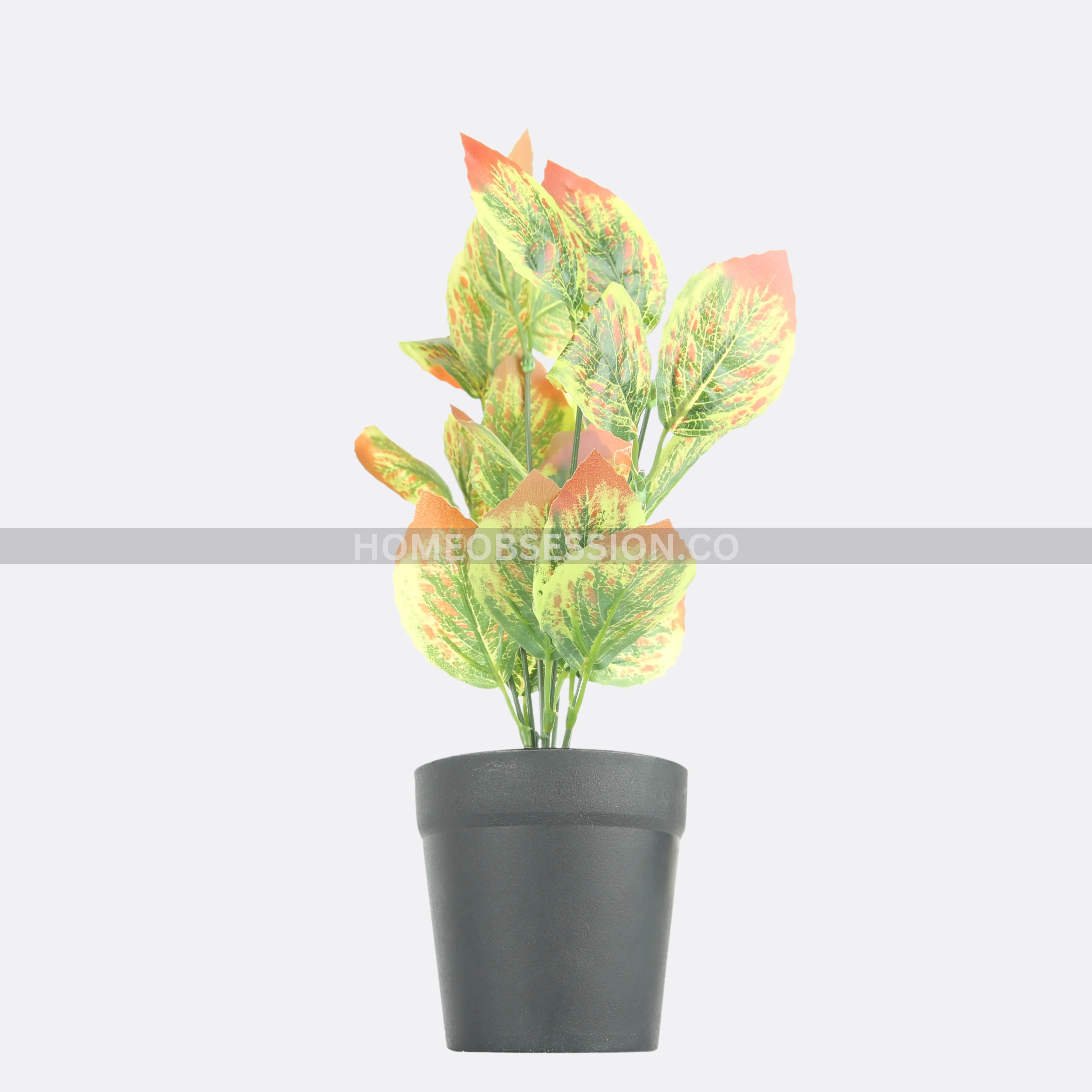 Foliole Planter With Ductile Pot