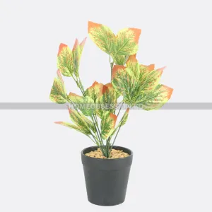 Foliole Planter With Ductile Pot
