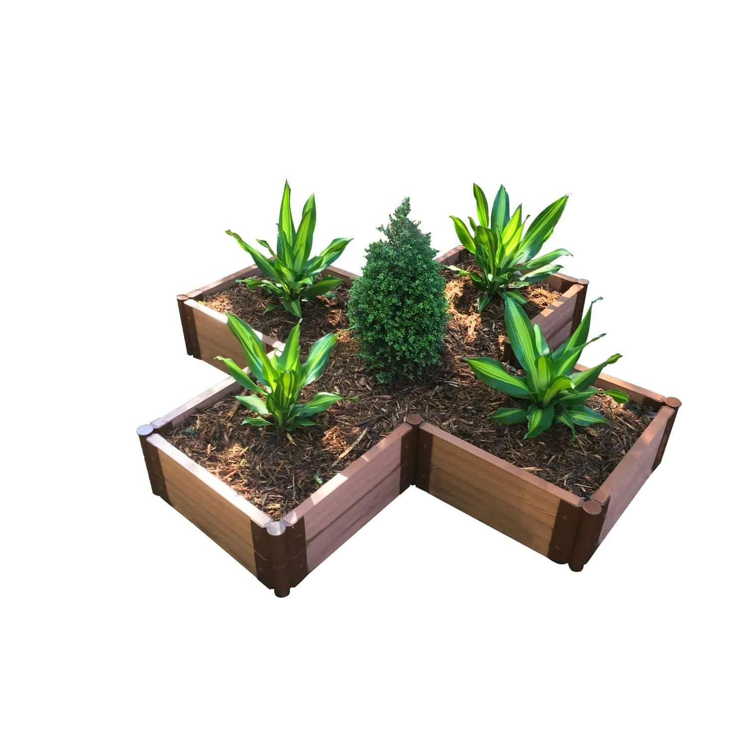 Frame It All | Tool-Free Military Medallion Raised Garden Bed (Kit Cross) 6' X 6' X 11" - Weathered Wood - 1" Profile