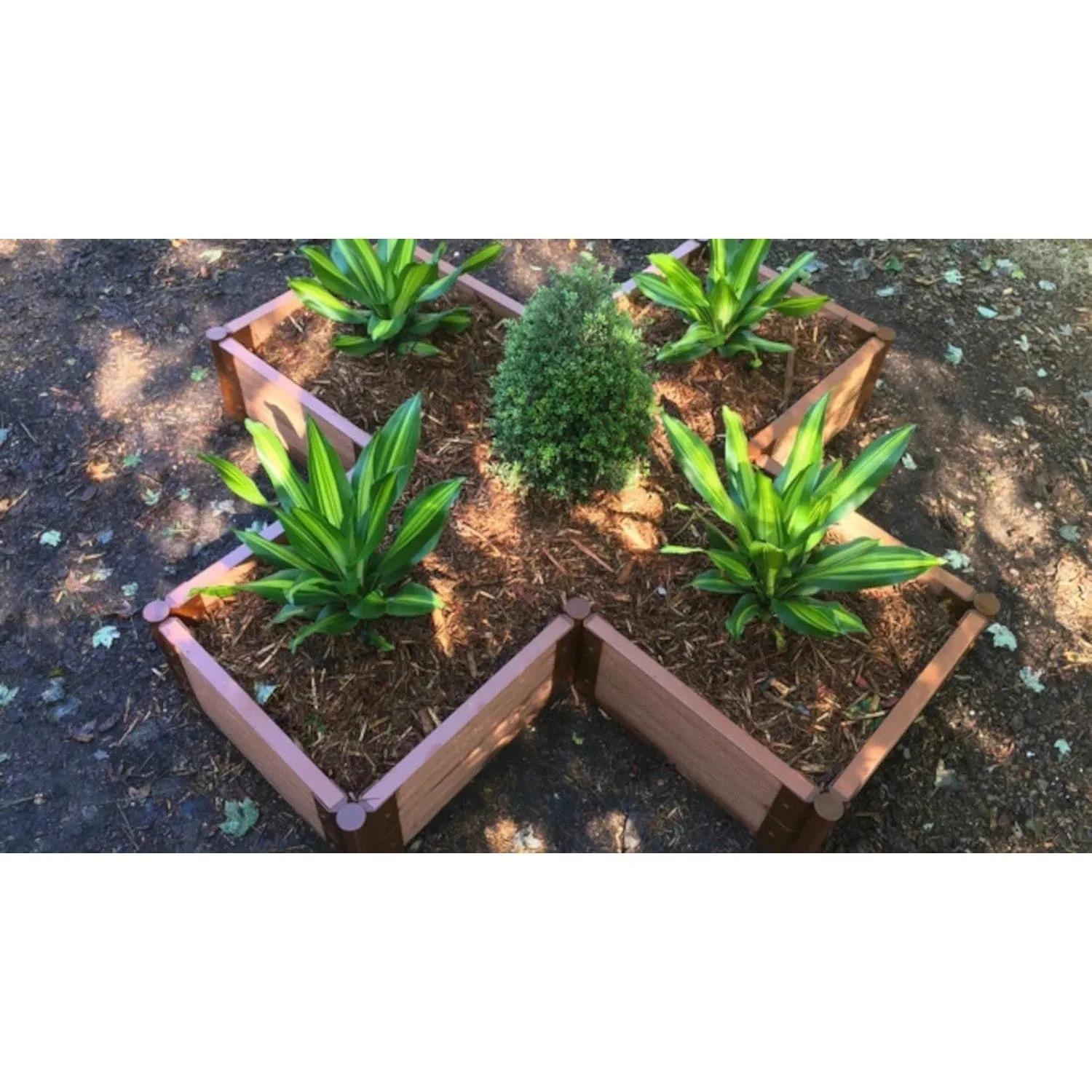 Frame It All | Tool-Free Military Medallion Raised Garden Bed (Kit Cross) 6' X 6' X 16.5" - Weathered Wood - 1" Profile
