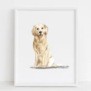 Golden Retriever