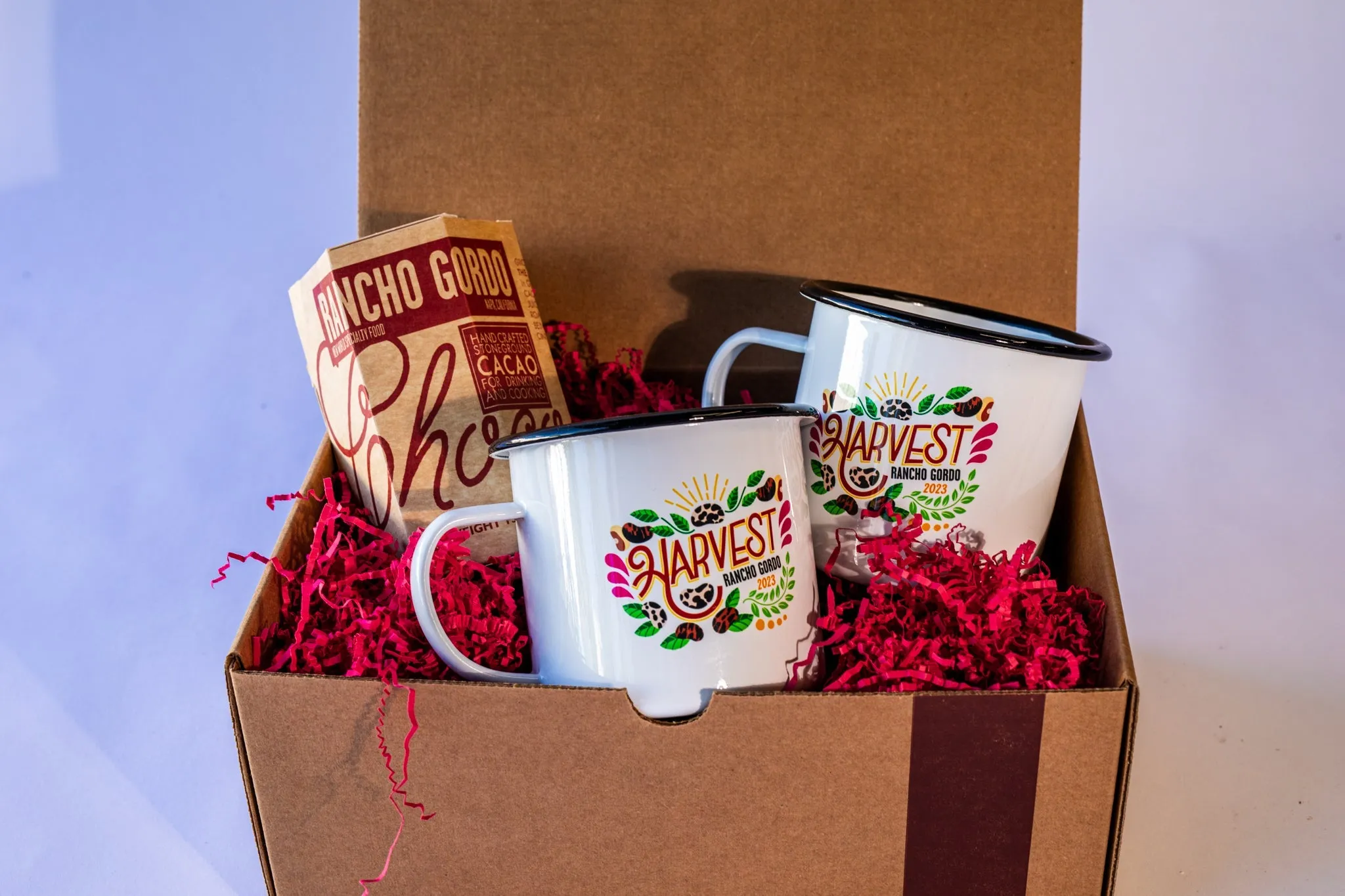 Harvest 2023 Mug and Chocolate Gift Set