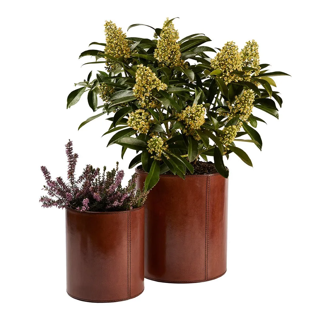 Leather Plant Holder - Two Sizes