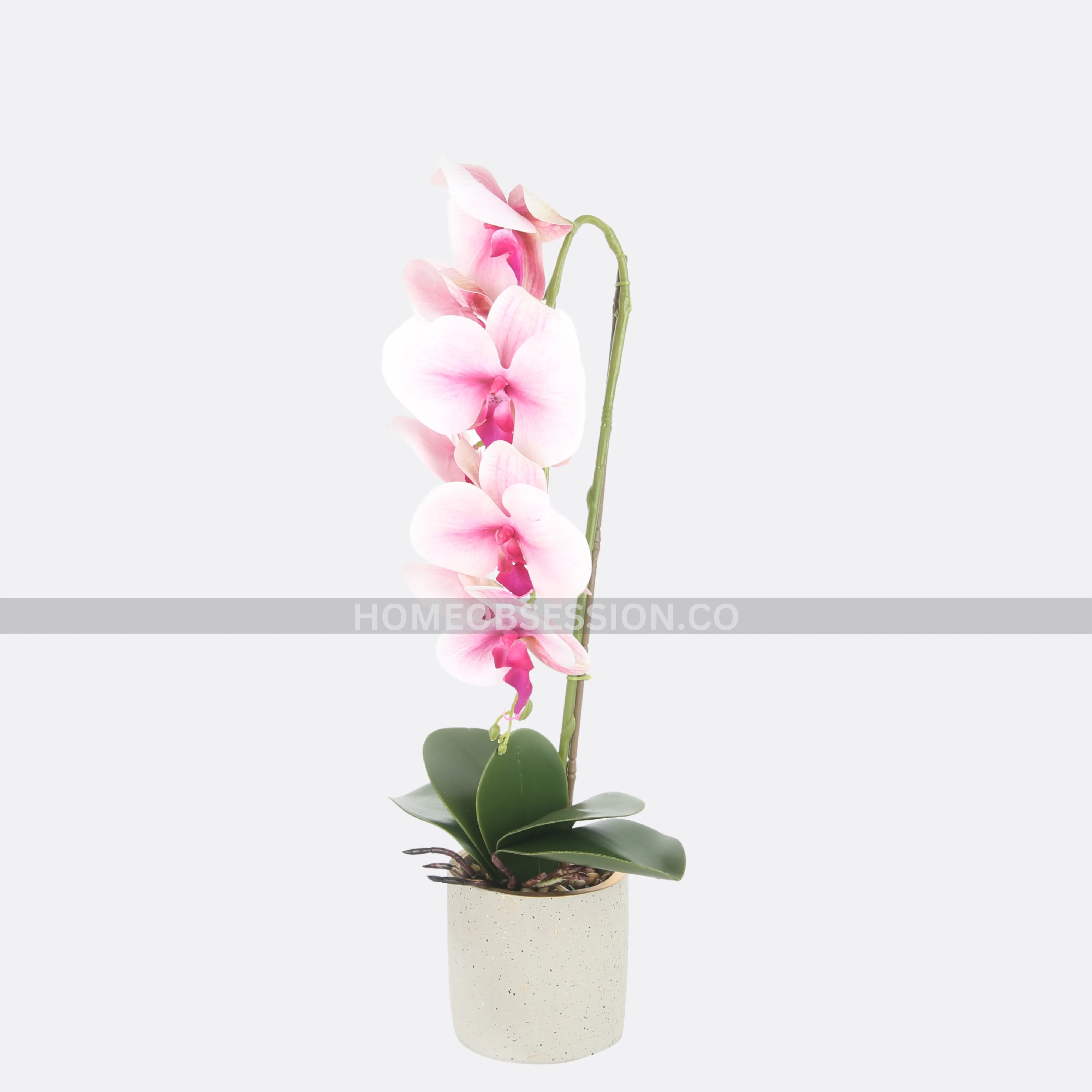 Luscious Planter With Pot (Copy)
