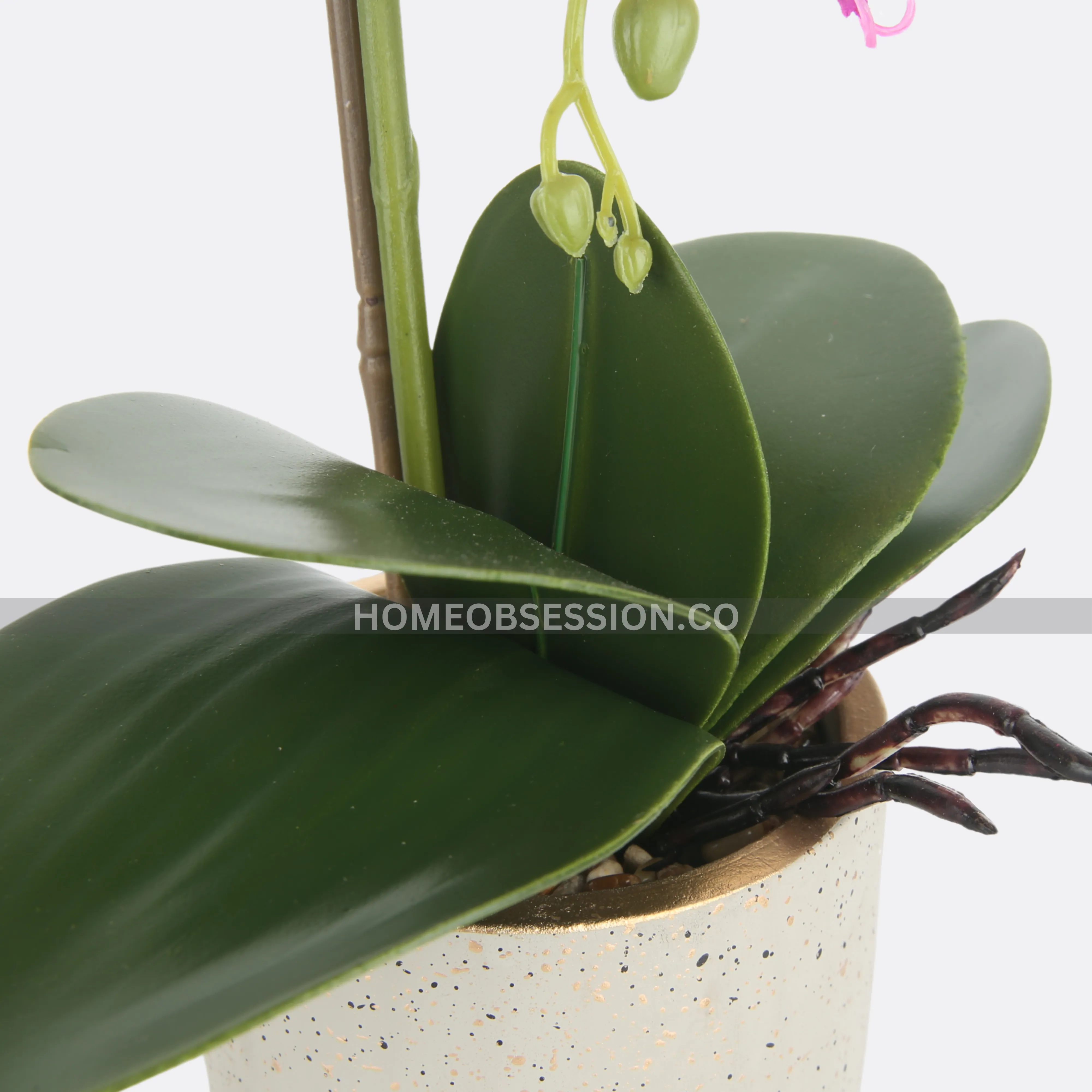 Luscious Planter With Pot (Copy)