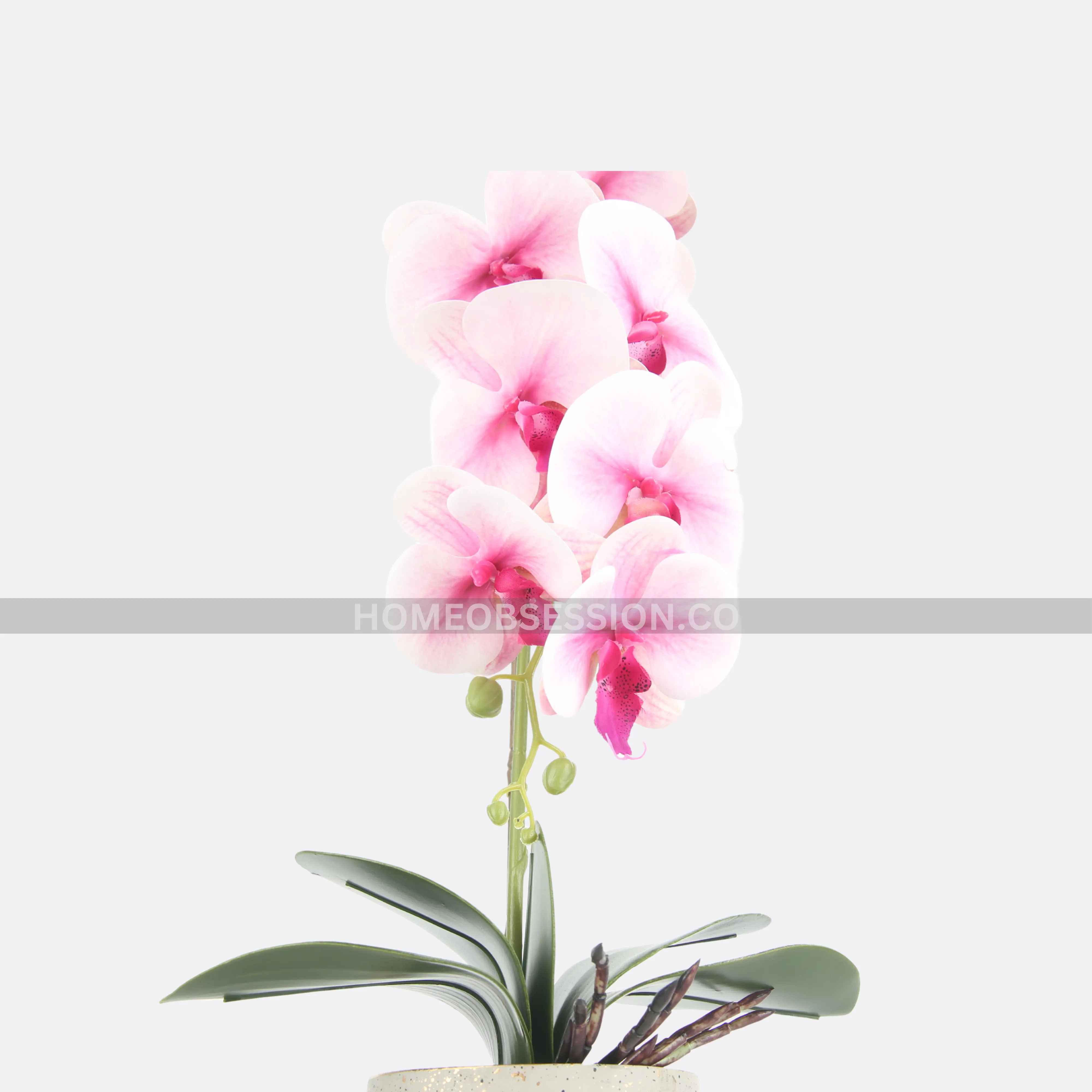 Luscious Planter With Pot (Copy)