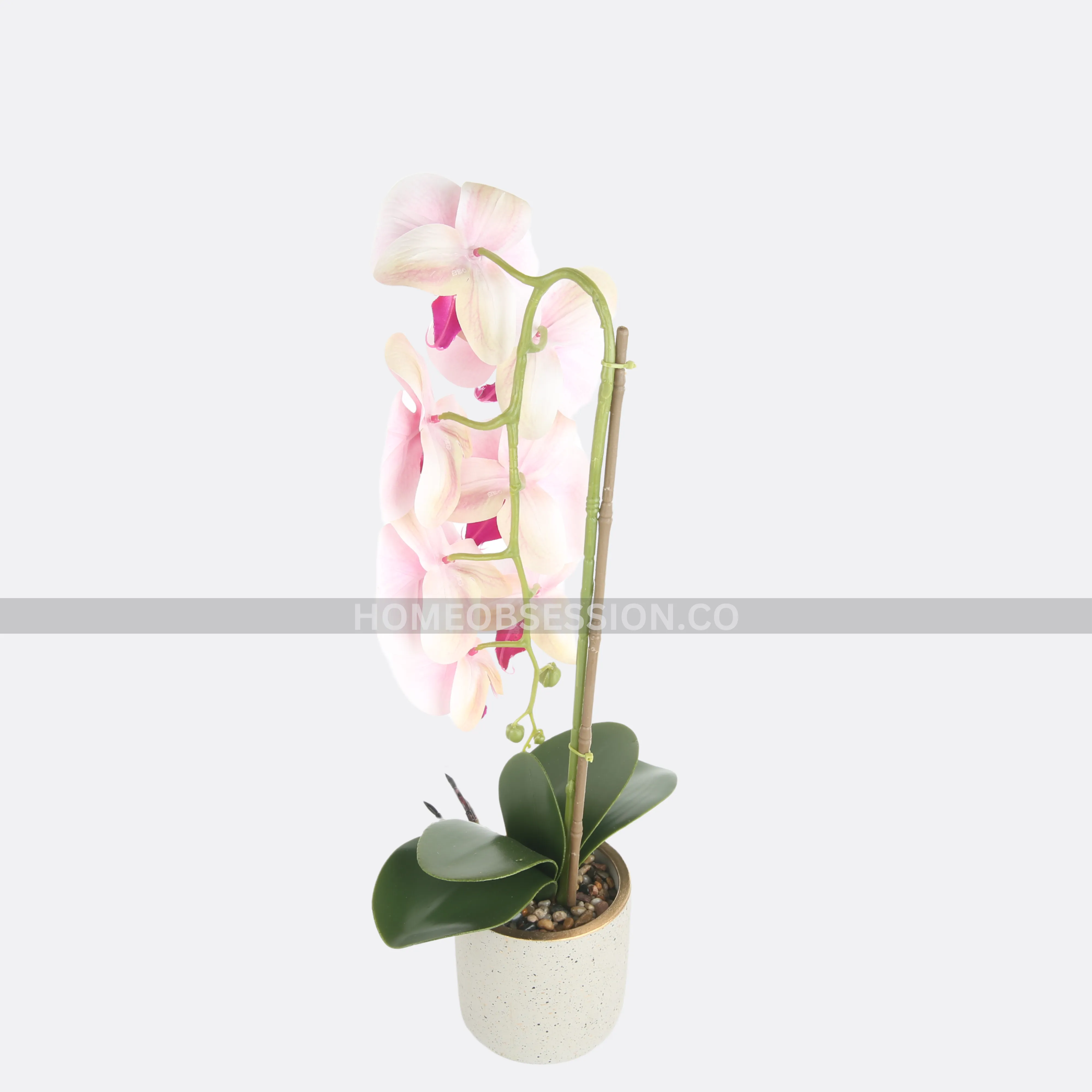 Luscious Planter With Pot (Copy)