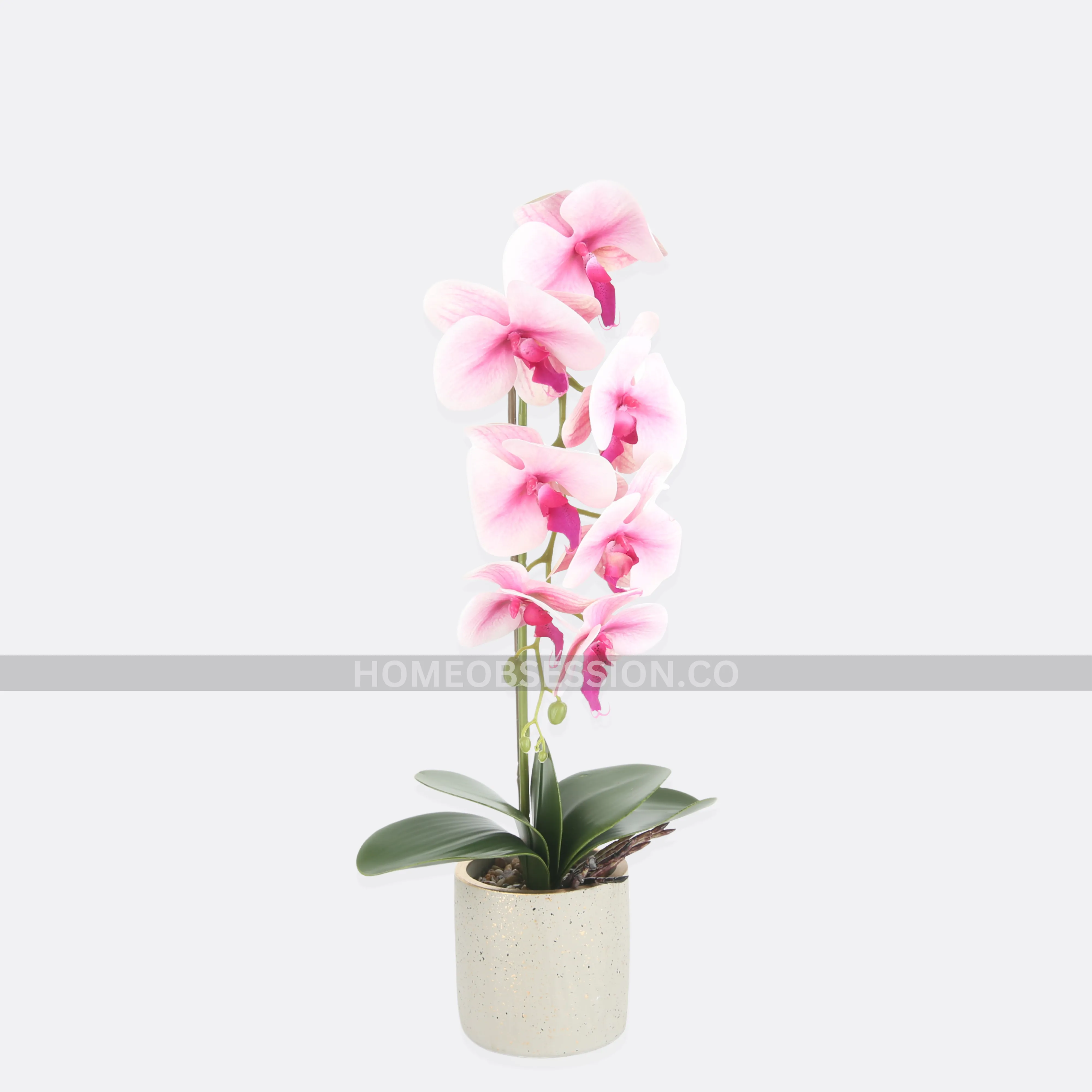 Luscious Planter With Pot (Copy)