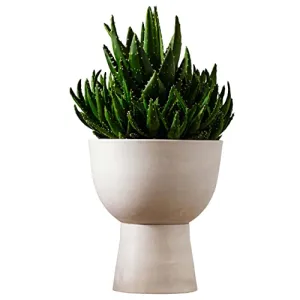 LUXEPORCH 10 Inch Plant Pot with Stand - Mid Century Modern Indoor Planter Pots with Drainage Hole, Plug, Plant Stand with Pot 10.6" Inches H - Large White Planters for Indoor Plants (Varen, White)