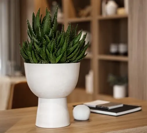 LUXEPORCH 10 Inch Plant Pot with Stand - Mid Century Modern Indoor Planter Pots with Drainage Hole, Plug, Plant Stand with Pot 10.6" Inches H - Large White Planters for Indoor Plants (Varen, White)