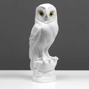 Owl Statue