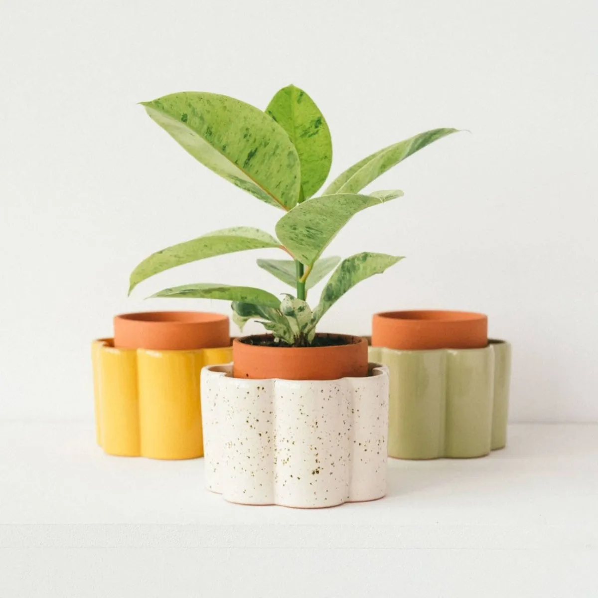 Paula Self Watering Planter Pot - Mustard Yellow