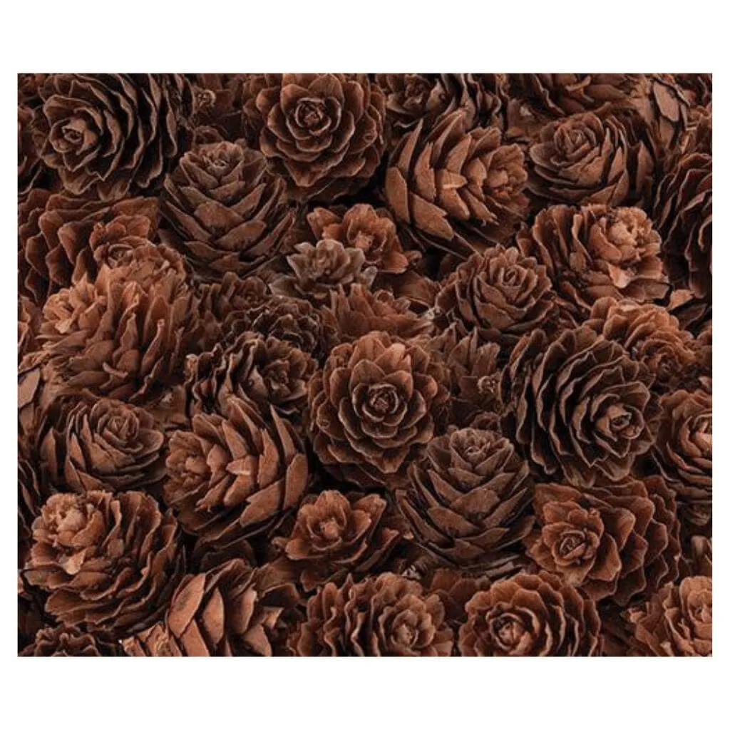 Pine Cones Mini 190g