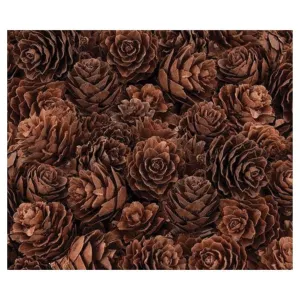 Pine Cones Mini 190g