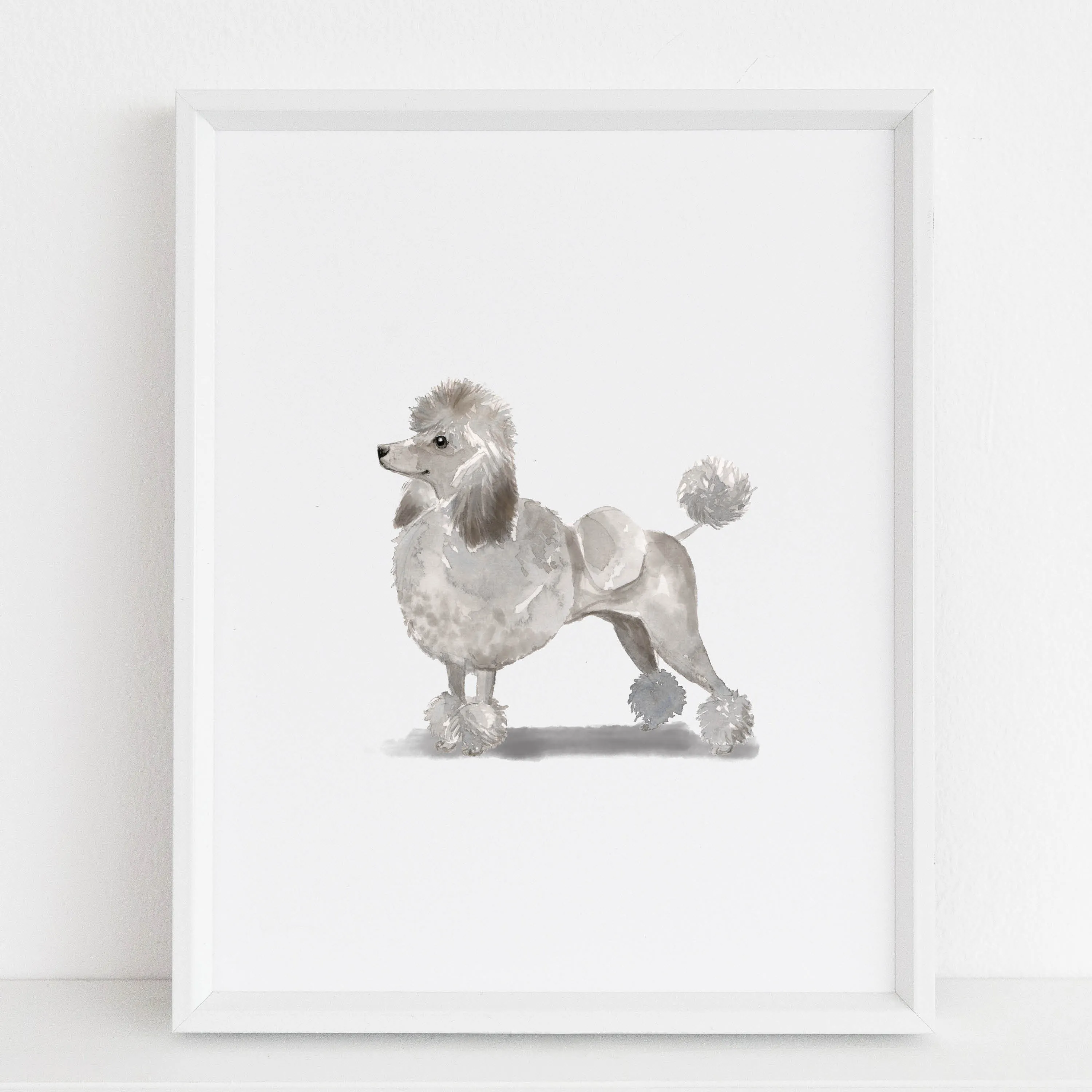 Poodle