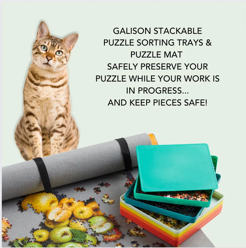 Puzzle Sorting Tray Set