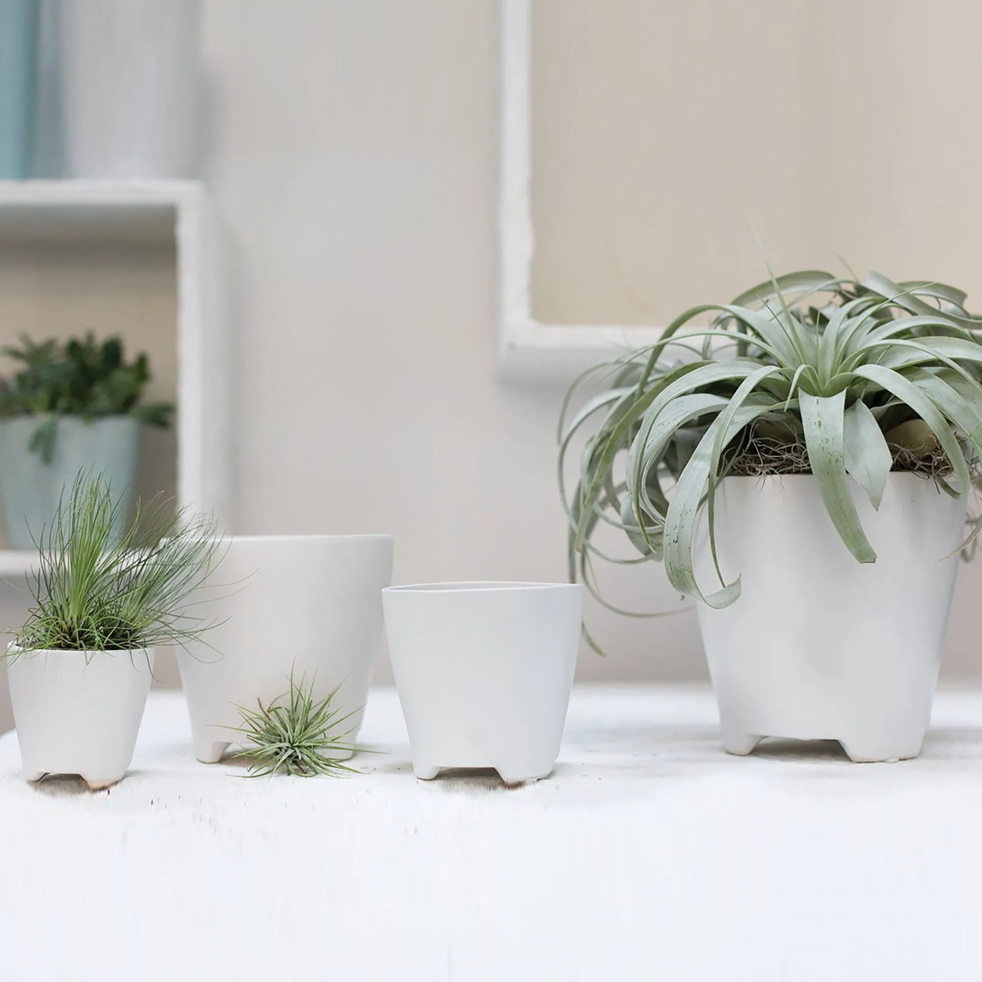 Ruth Pot (Medium)