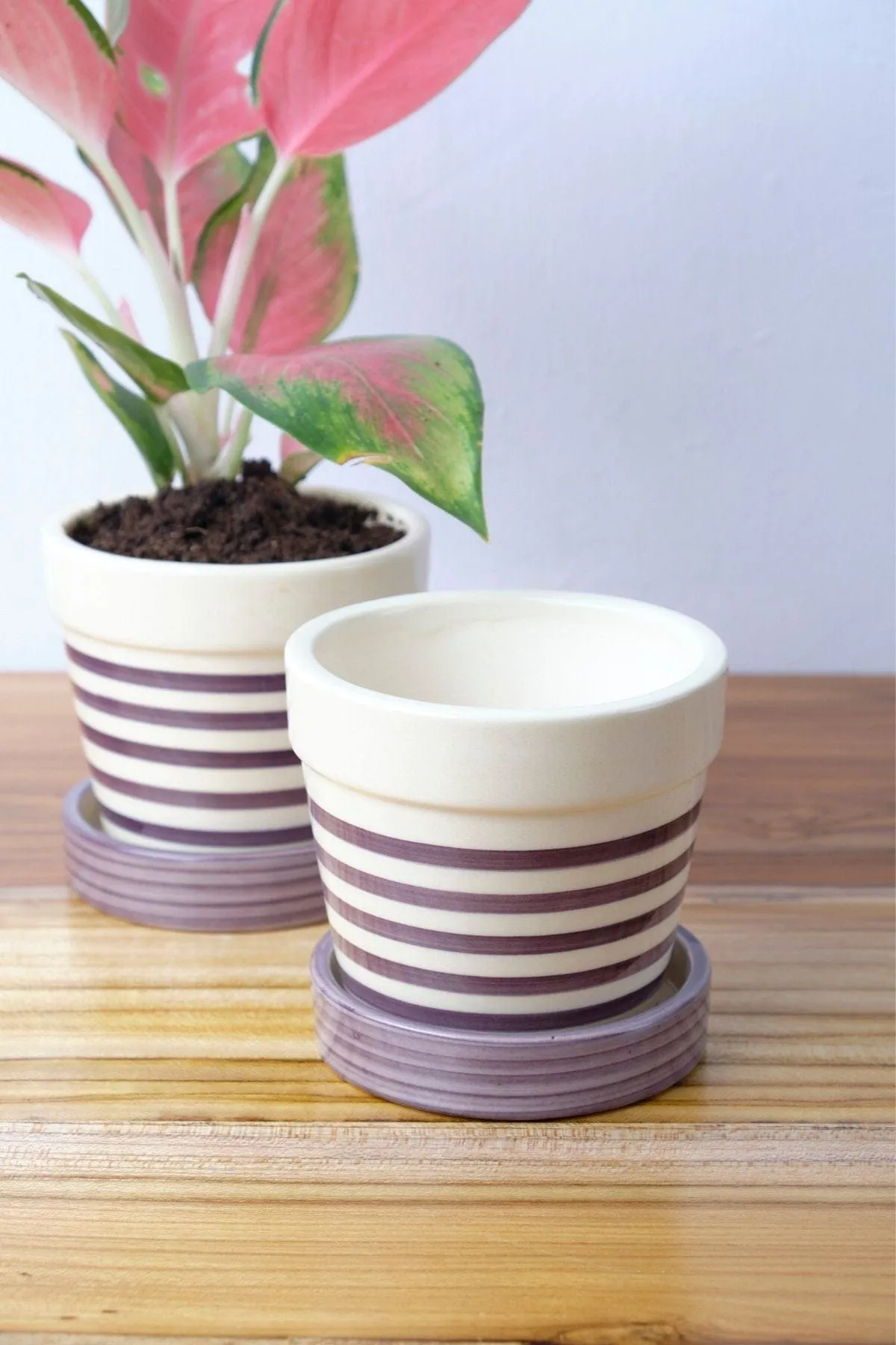 Stripe Lavender Pink Herb Planter (Set Of 2)