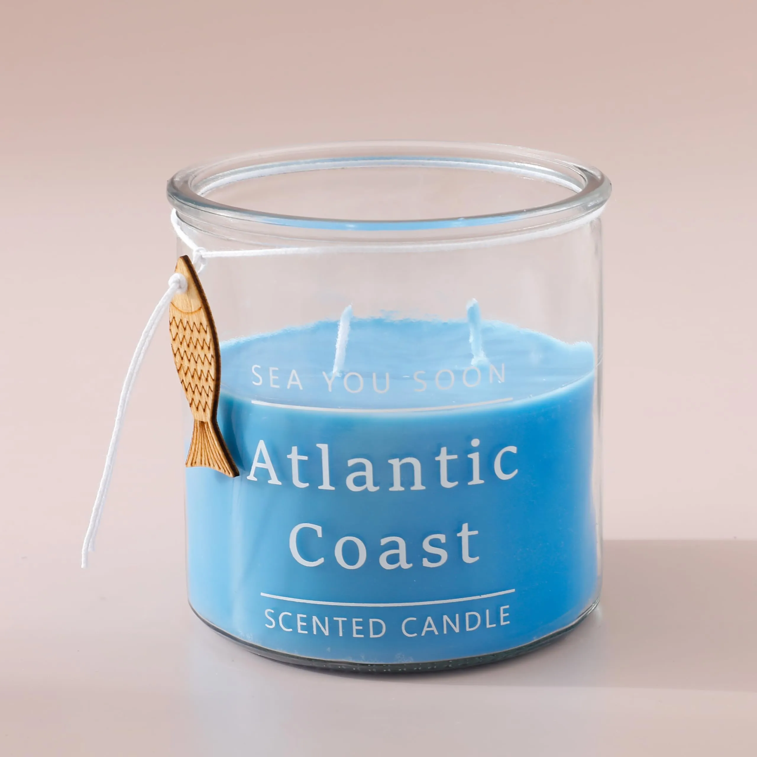 The Better Home 430g Wax Blue Water Fragrance Scented Candles Home Decor & Aromatherapy | 60 Hours Burn Time | Perfect for Gifting, Lighting | Fragrance Candles for Home in Reusable Jars