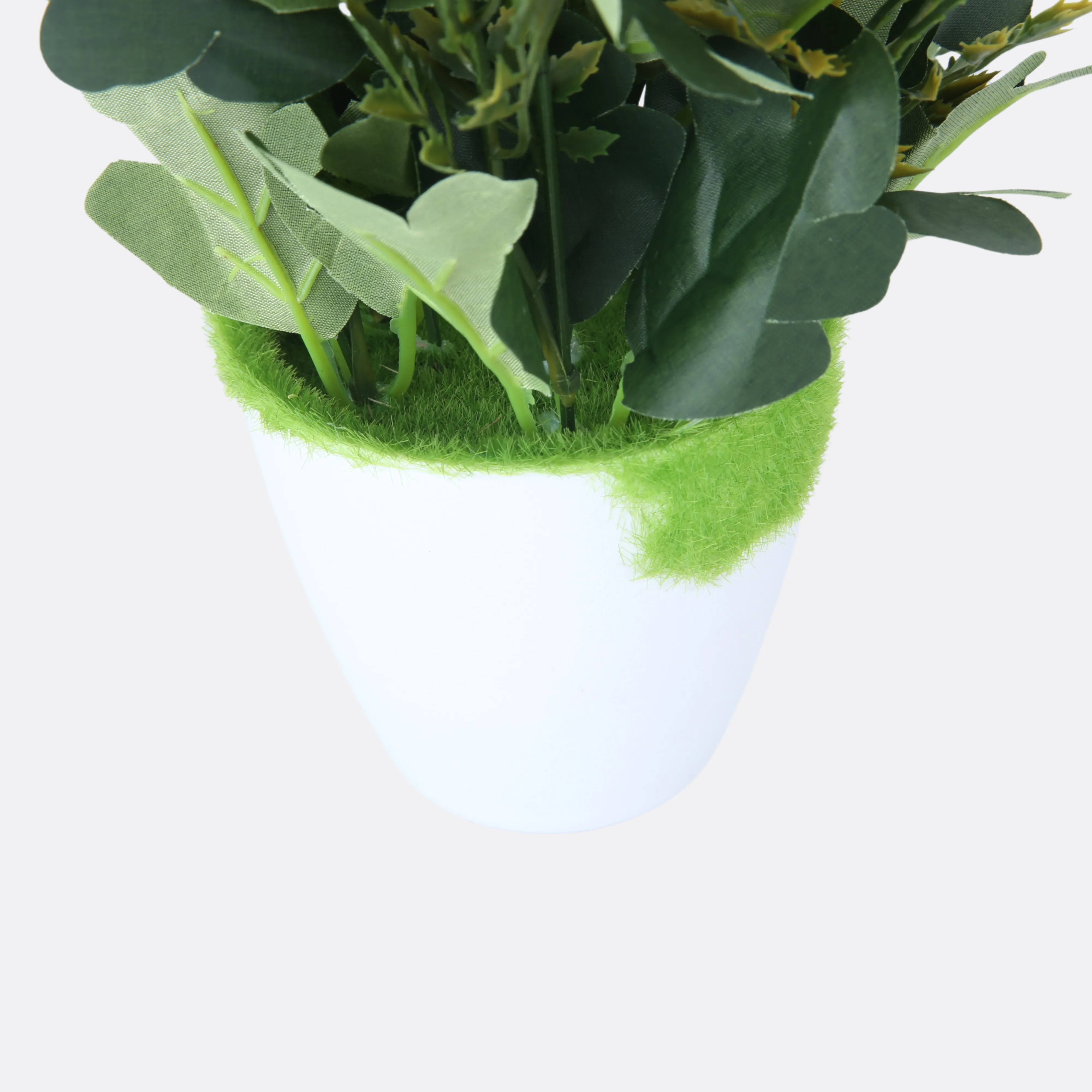 Tropical Bloom Arrangement With Ductile Pot